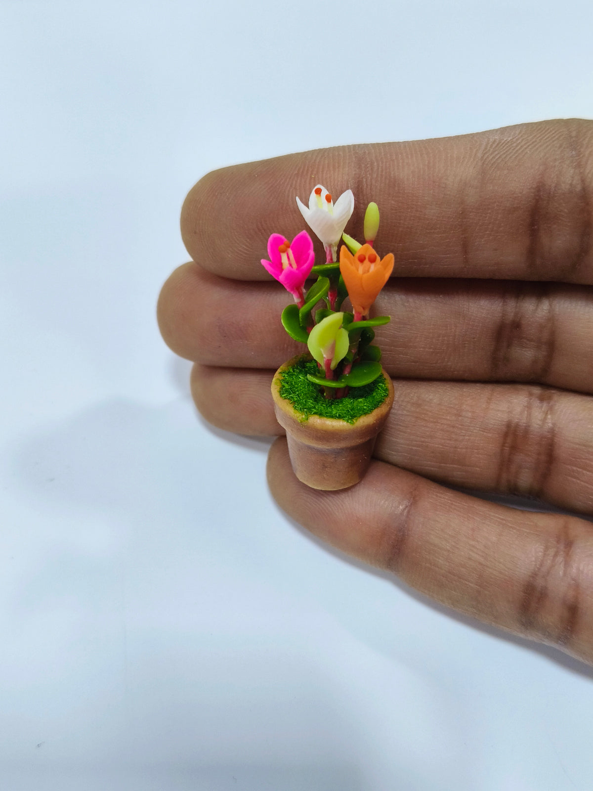 Cyclamenin Mixed Flower