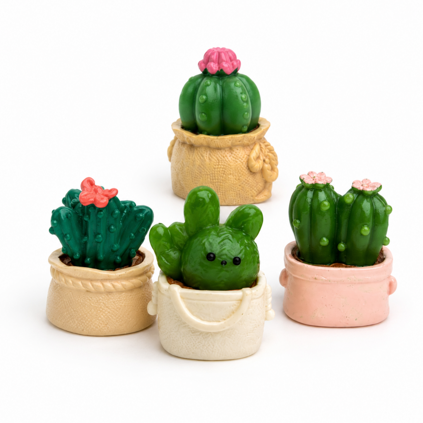 Cactus_in_Bag_image_2