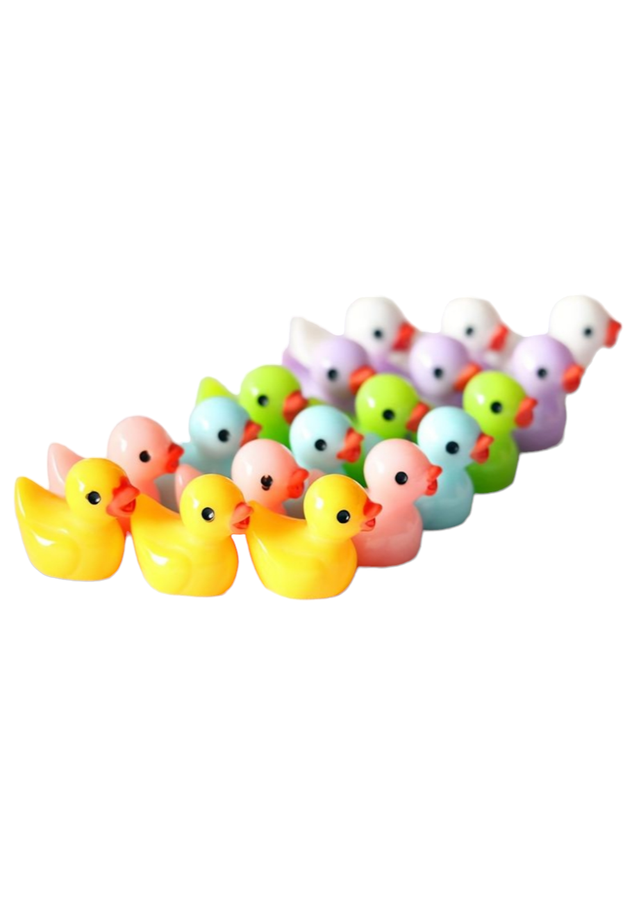 Colour Duck per piece