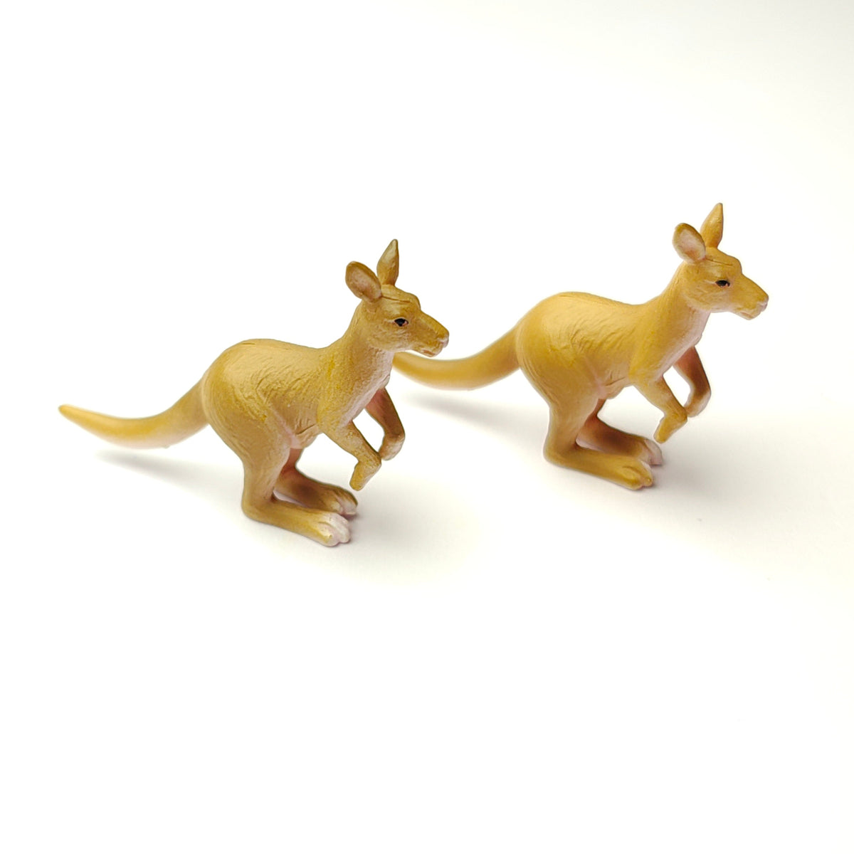 Kangaroo_Set_image_1