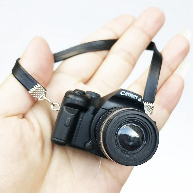 Camera with flash