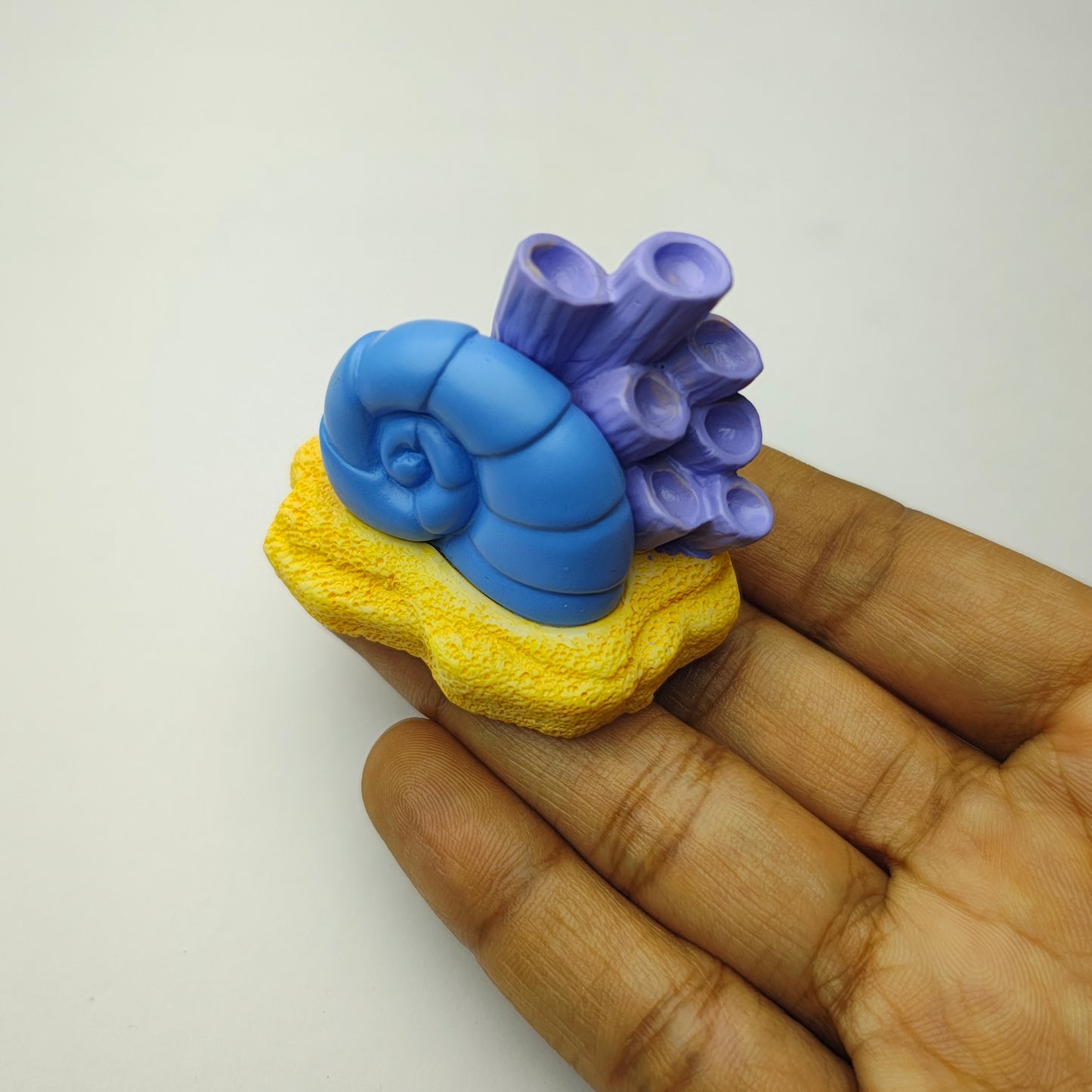 Snail Coral