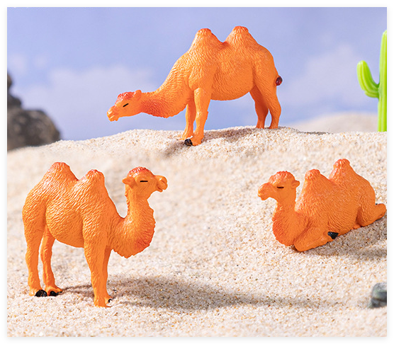 Camel