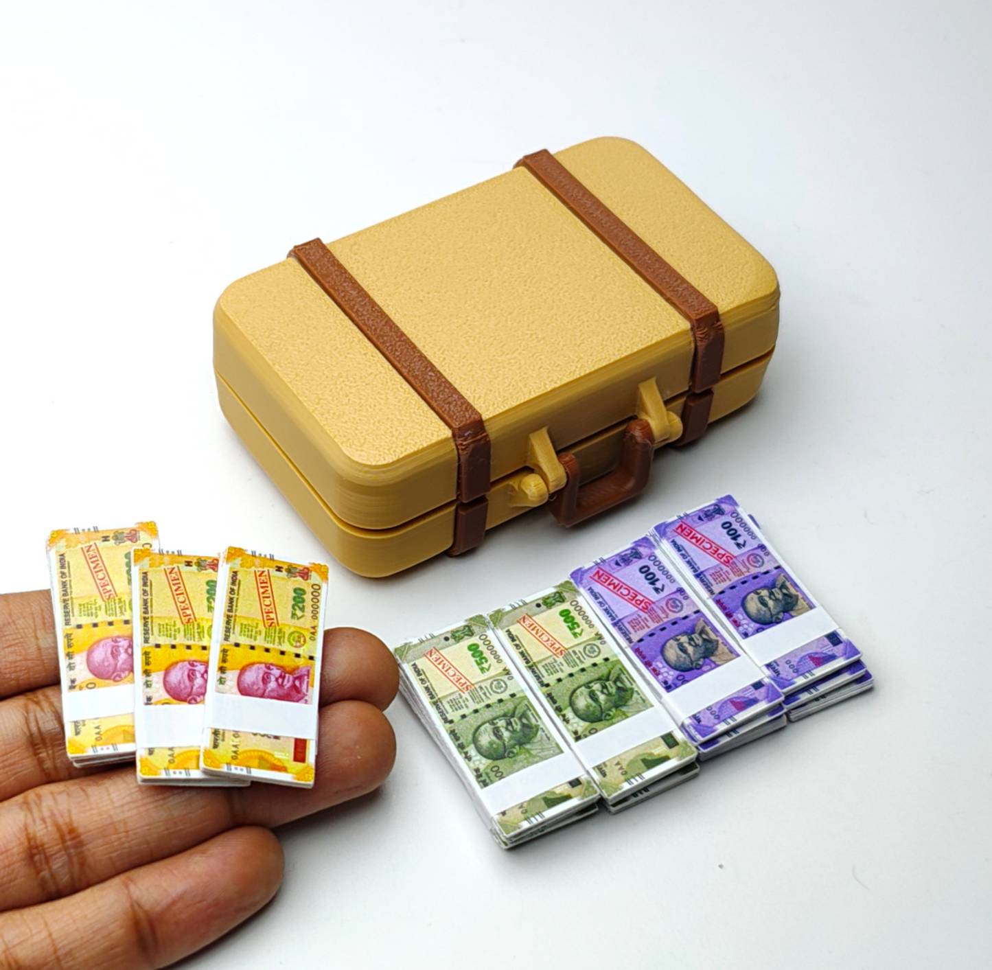 Indian Currency Suitcase