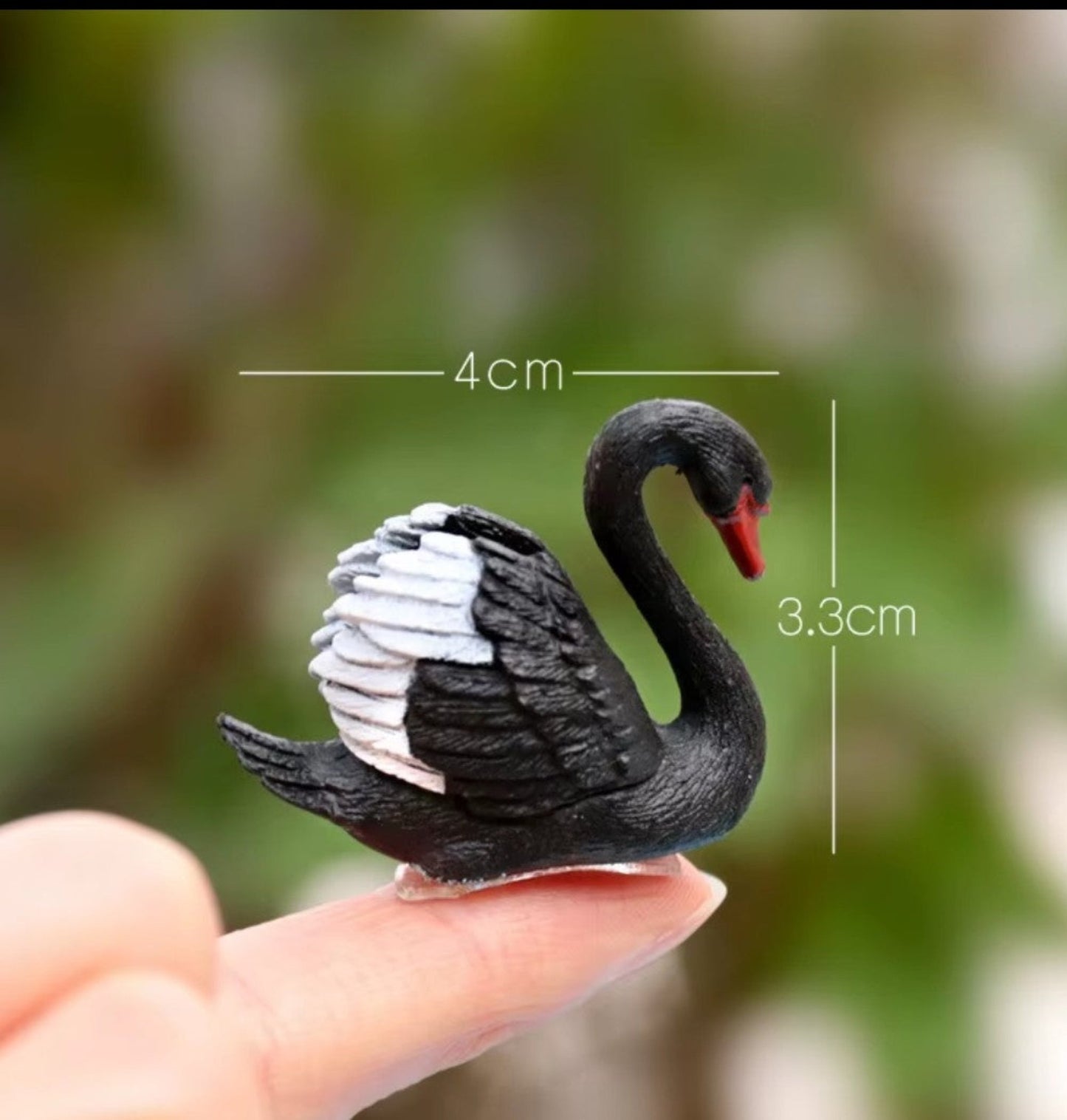Black Swan Set