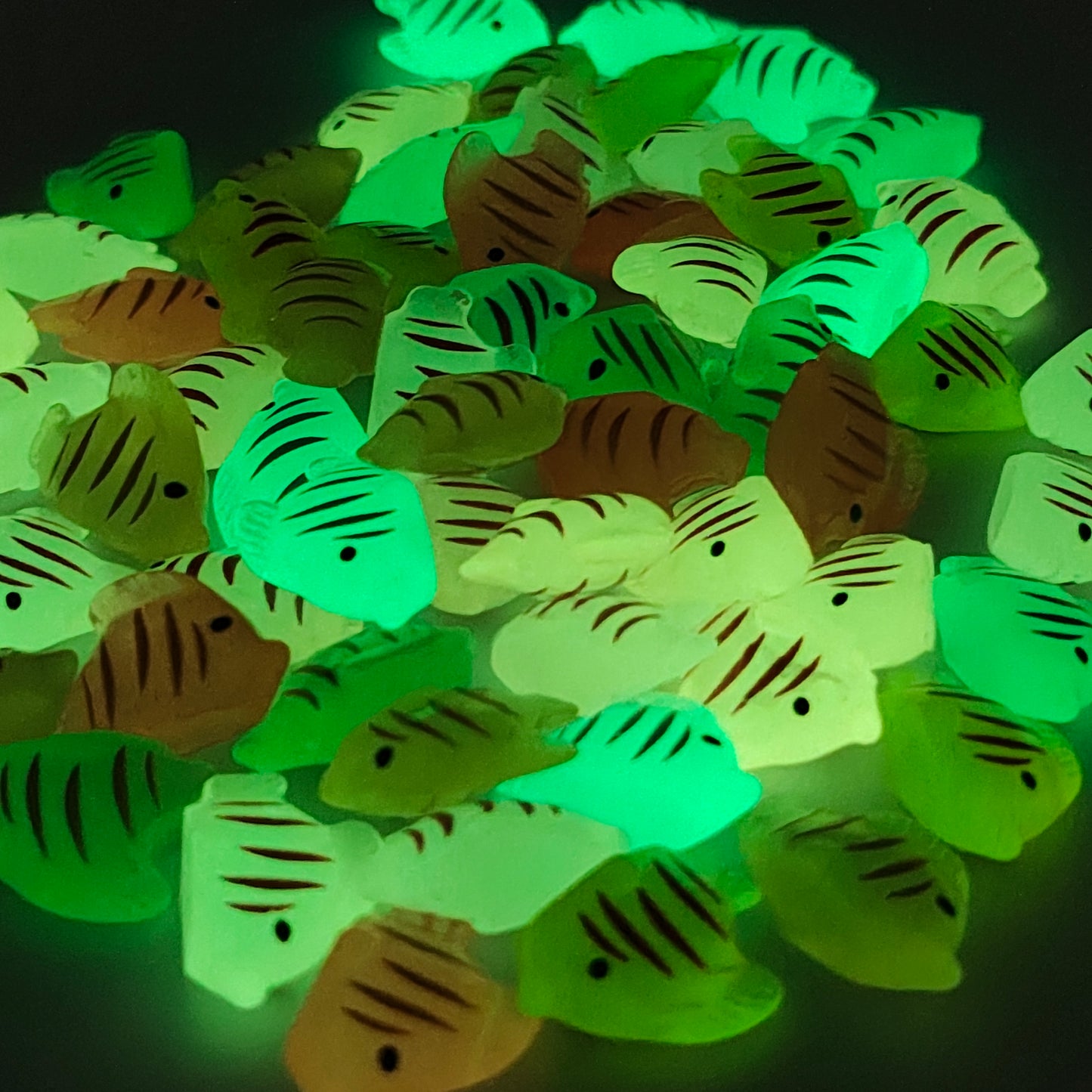 Glow Fish