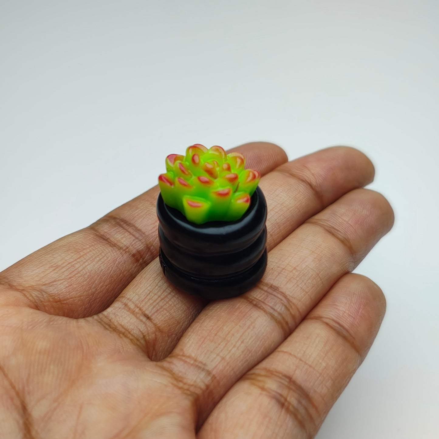 Miniature Black Cactus Set