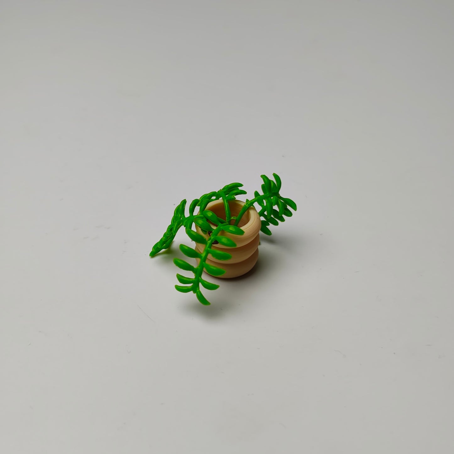 Miniature plant