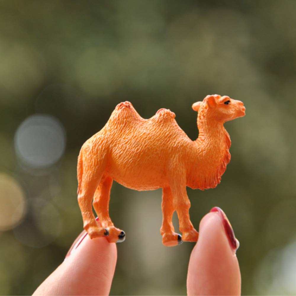 Camel