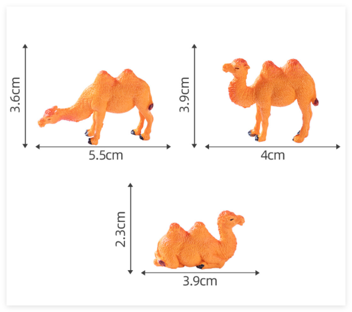 Camel