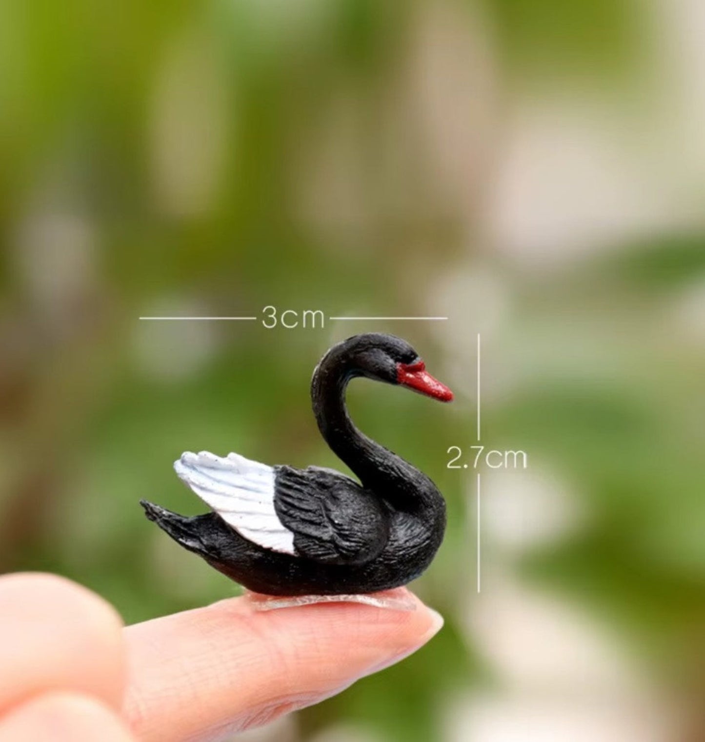 Black_Swan_Set_image_2
