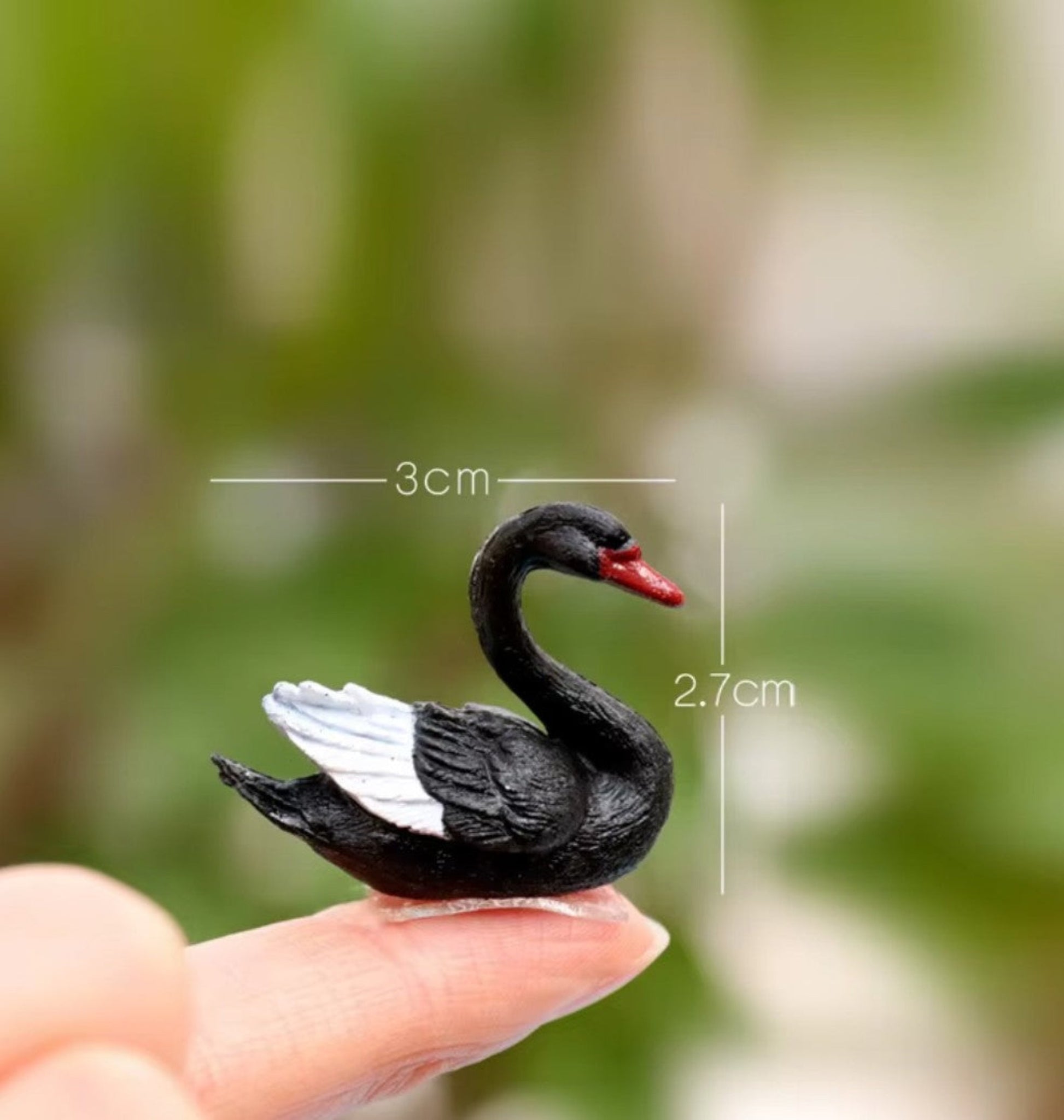 Black_Swan_Set_image_2