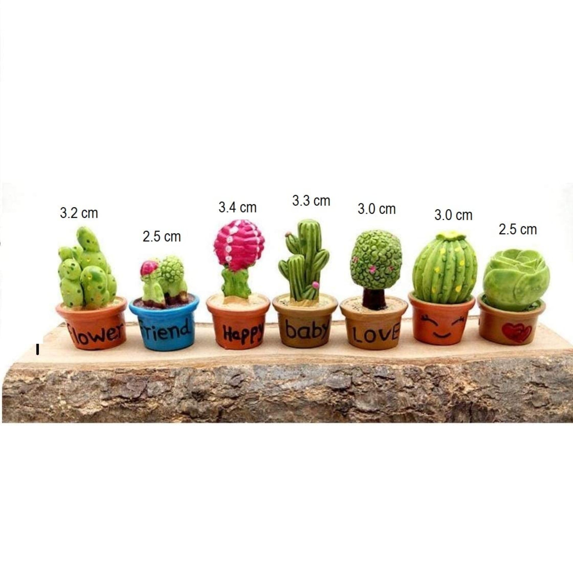 Cactus_and_Flower_Pot_image_1