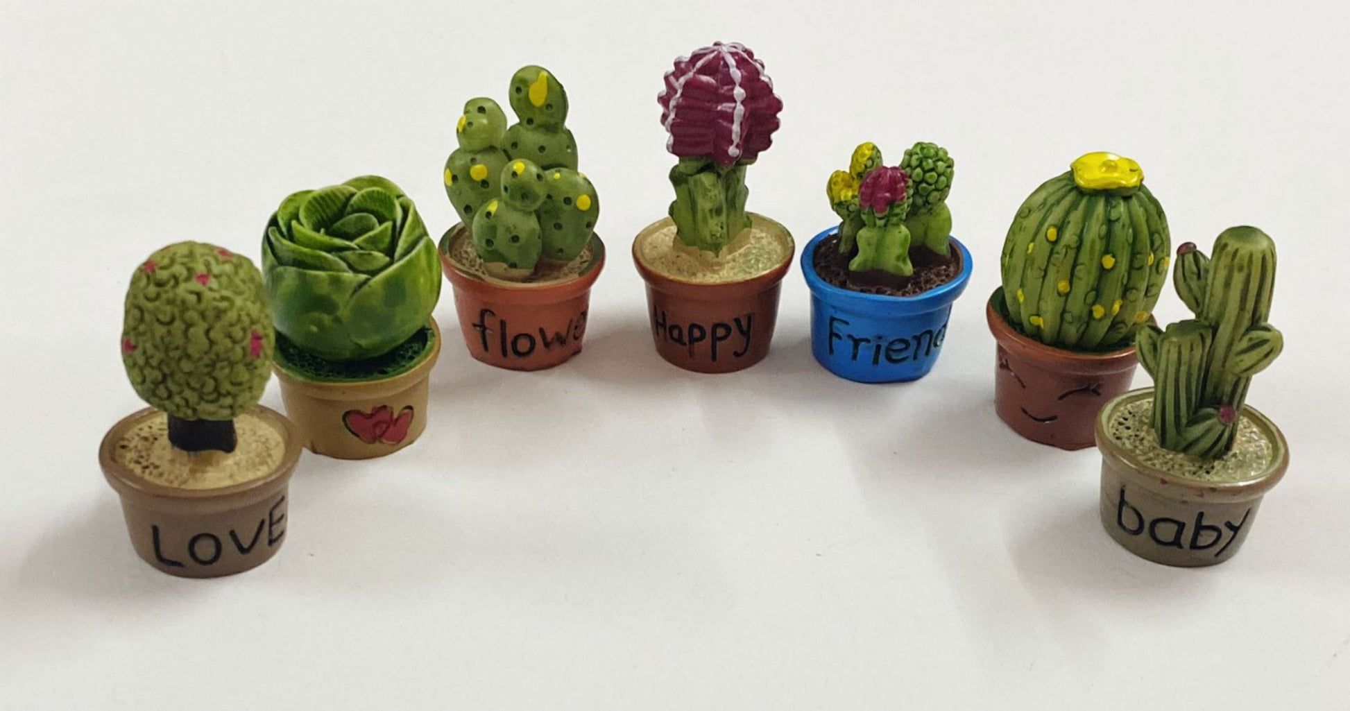 Cactus_and_Flower_Pot_image_2