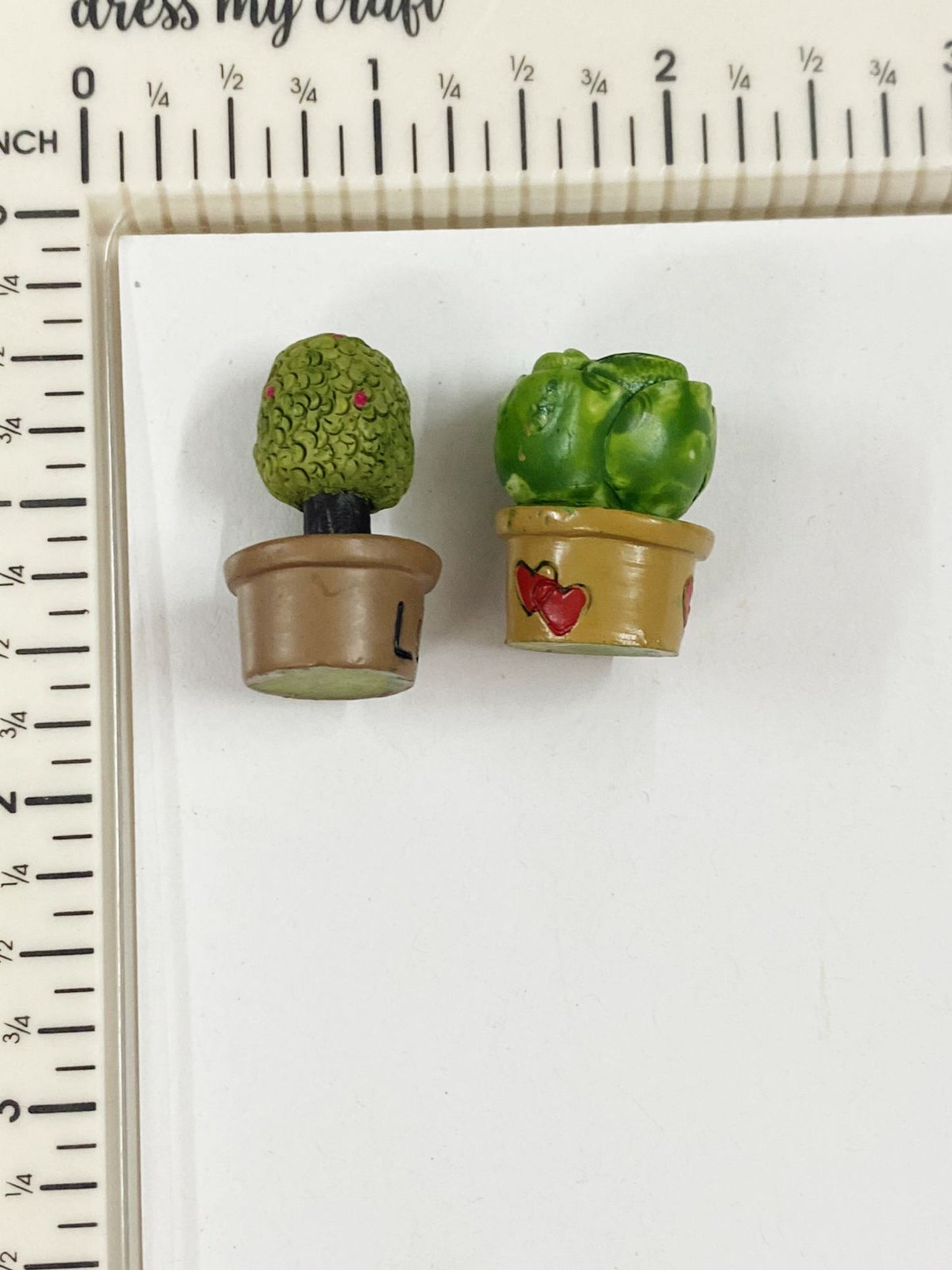 Cactus_and_Flower_Pot_image_4