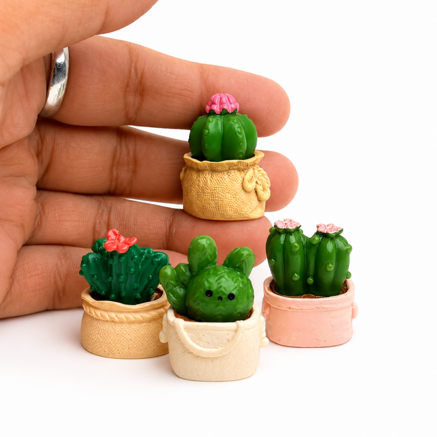 Cactus_in_Bag_image_1