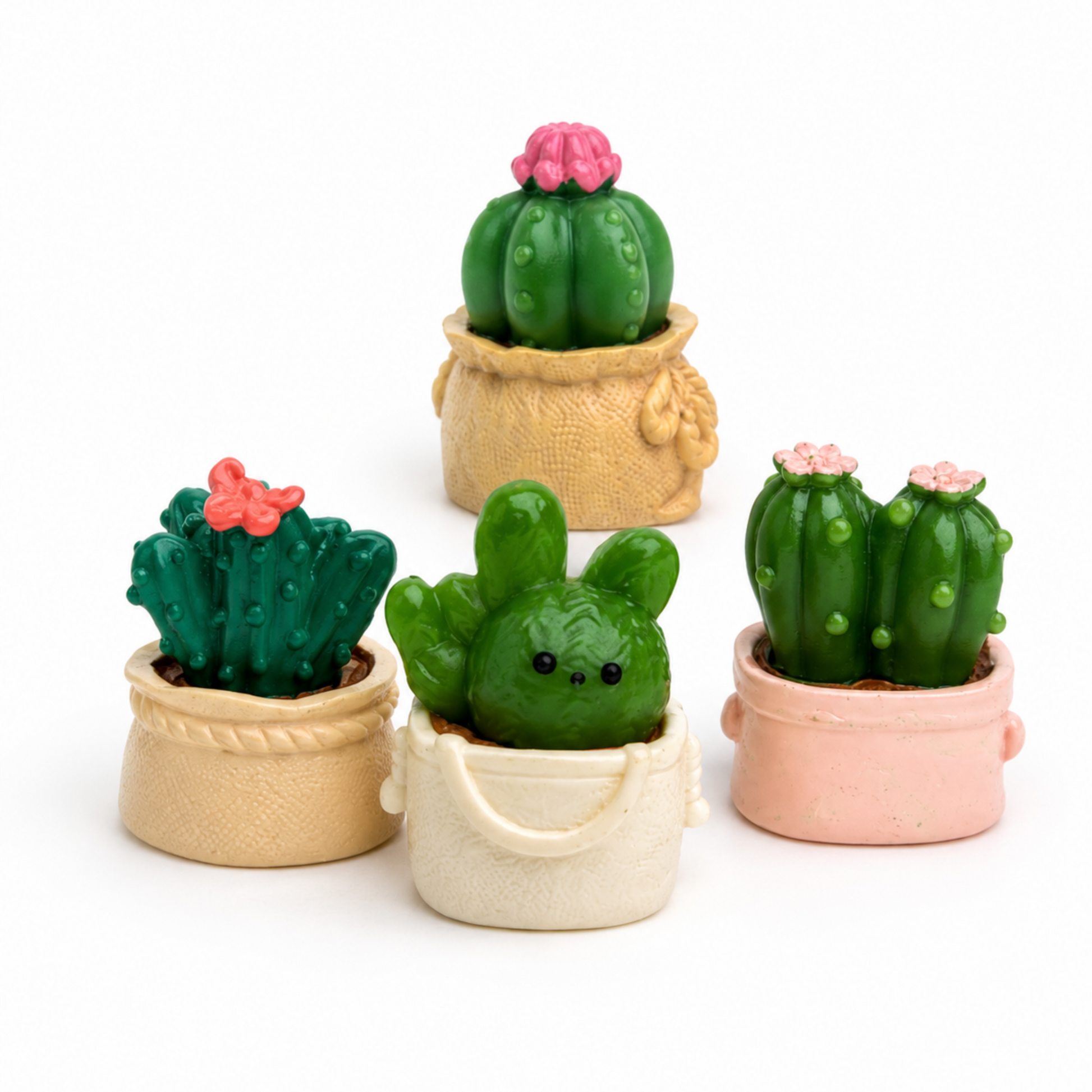 Cactus_in_Bag_image_2