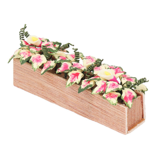 Caladium_in_Planter_Box_image_1