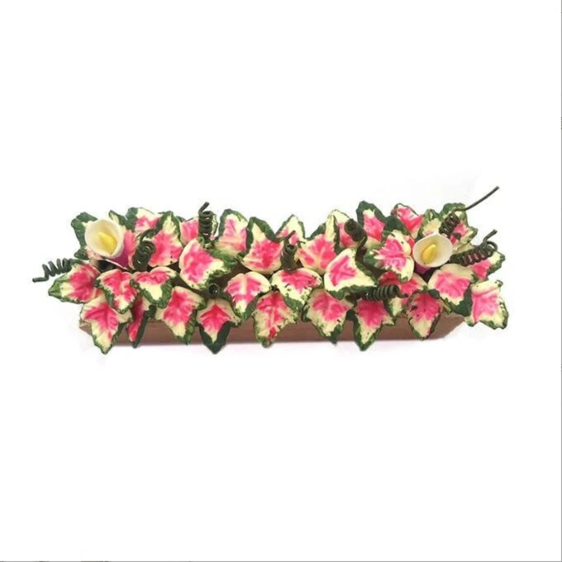 Caladium_in_Planter_Box_image_2