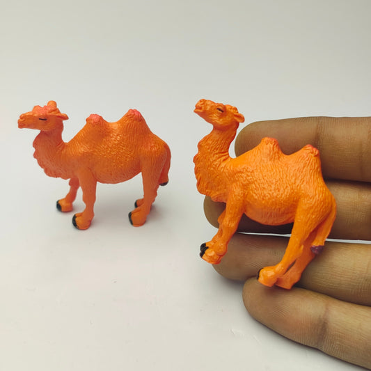 Camel_Set_image_1