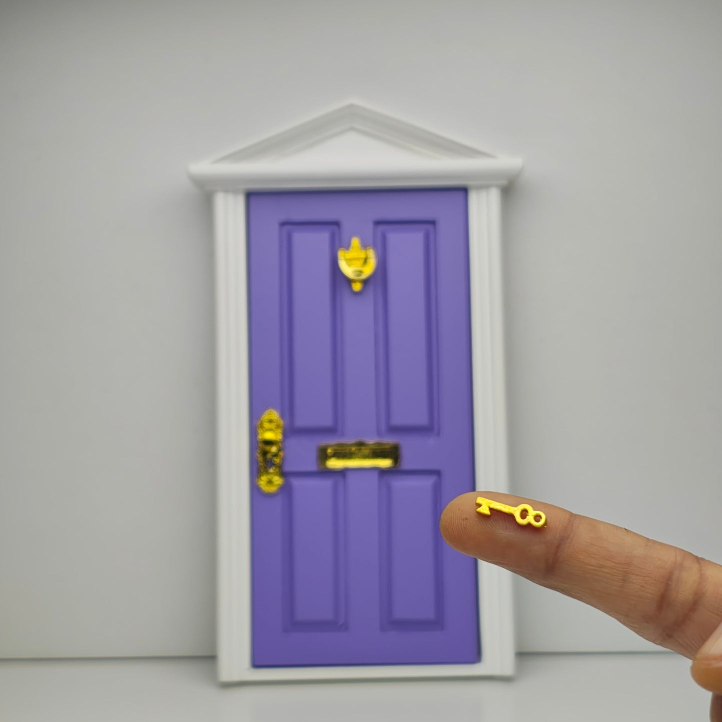 Door with Key
