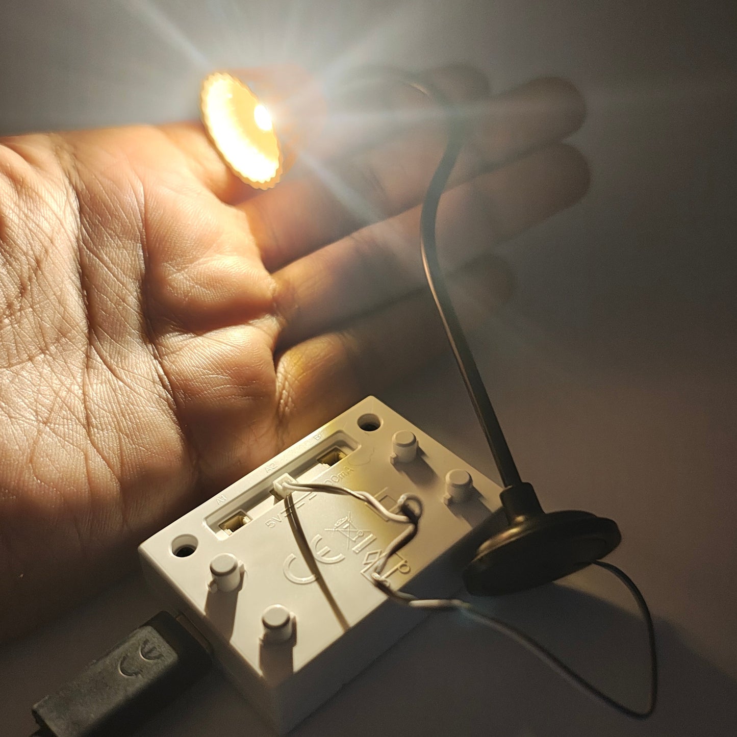 Functional_Night_Lamp_with_Adaptor_image