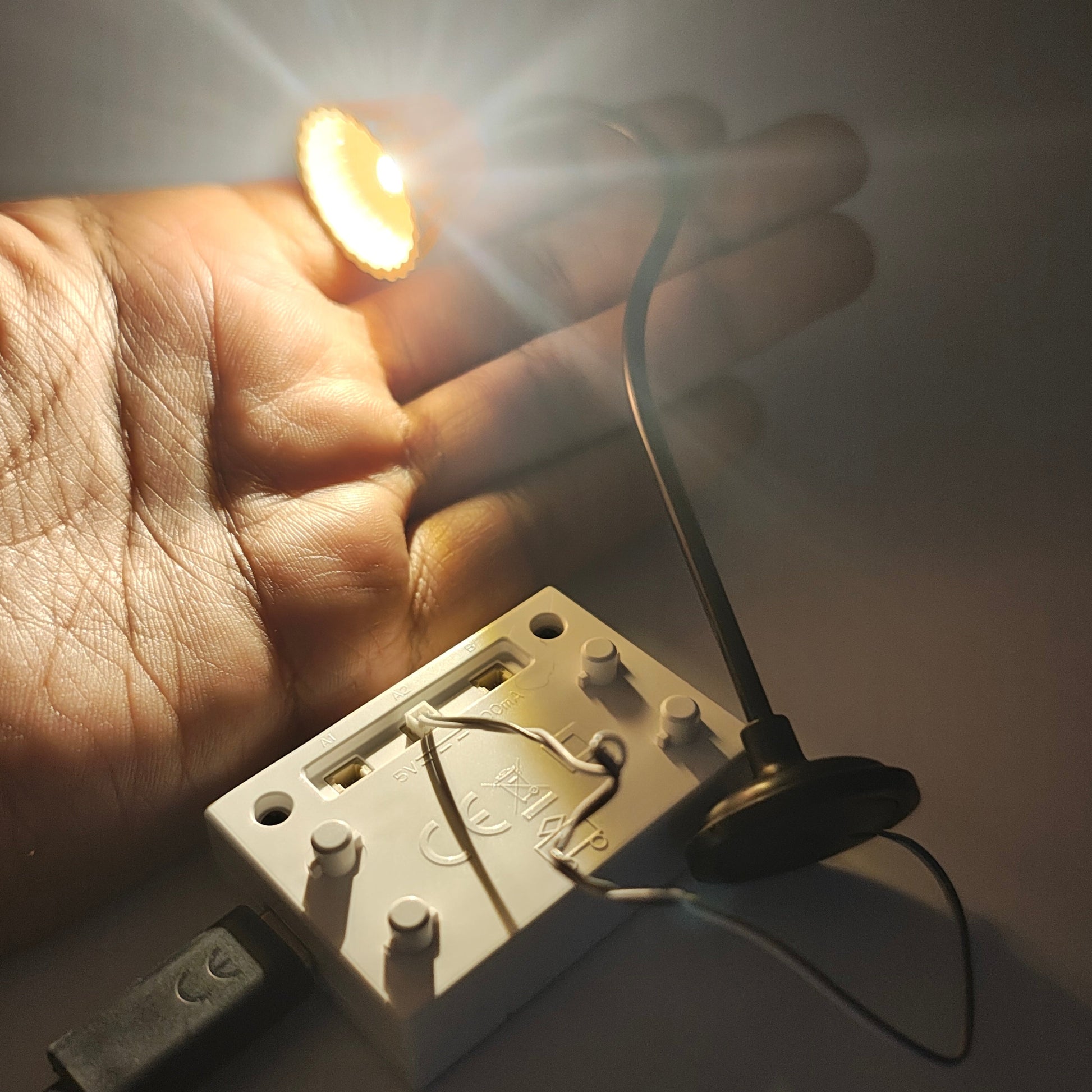 Functional_Night_Lamp_with_Adaptor_image