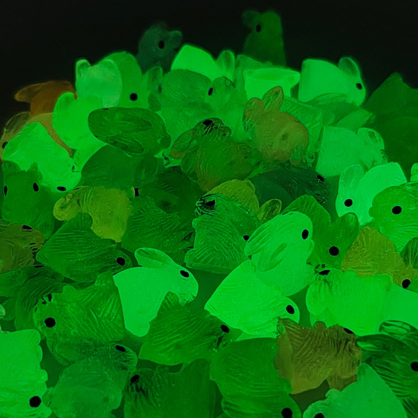 Glow_Rabbit_Set_image_2