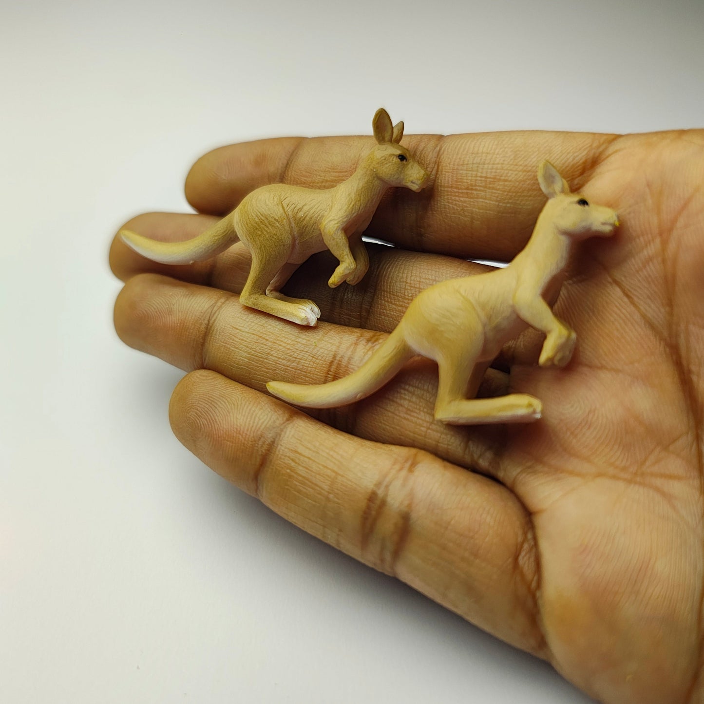 Kangaroo_Set_image_2