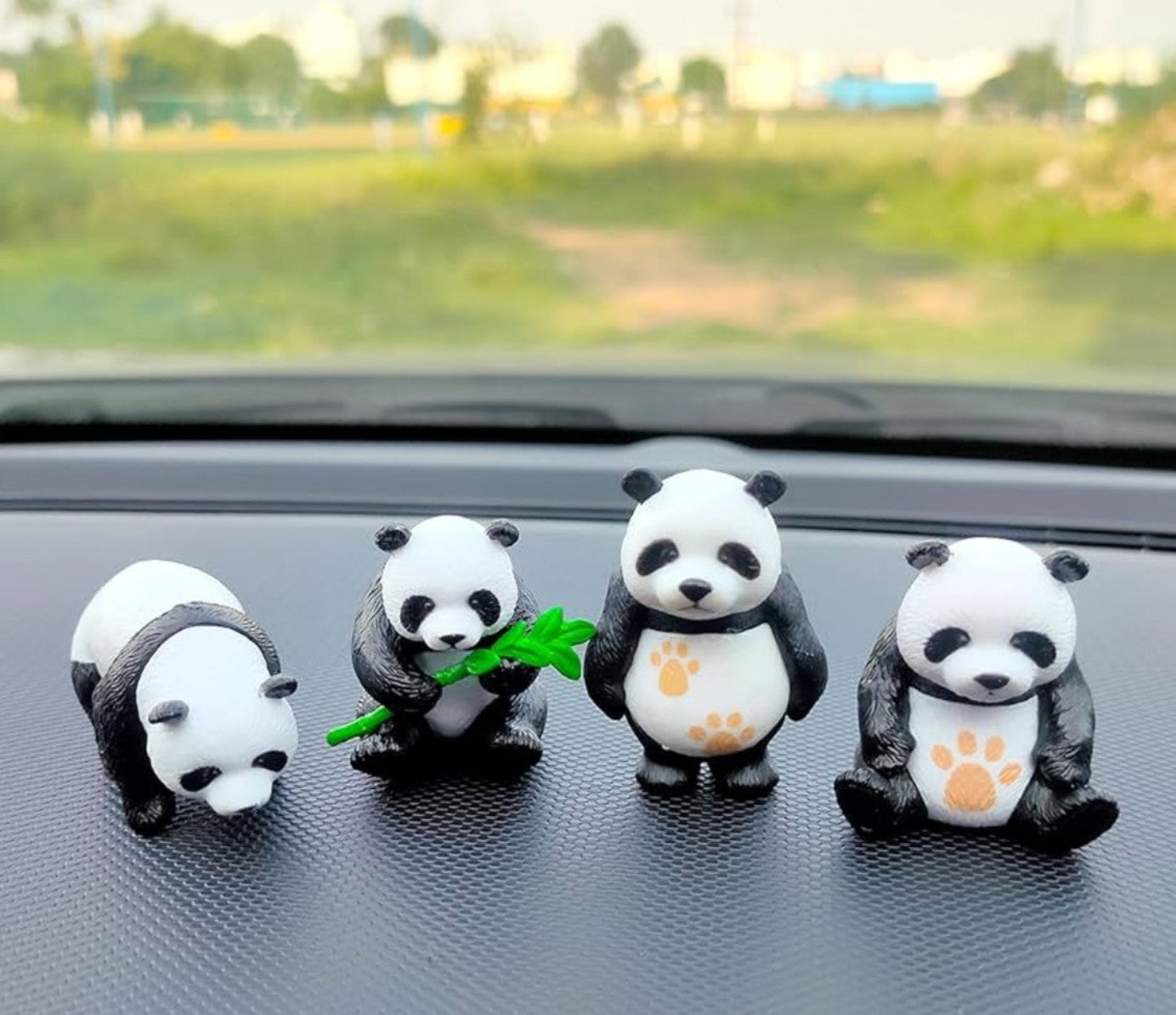 Panda_image_2