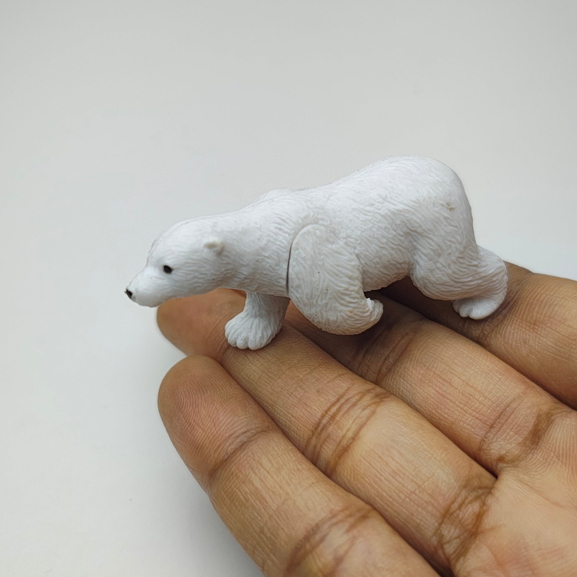 Polar_Bear_image_1