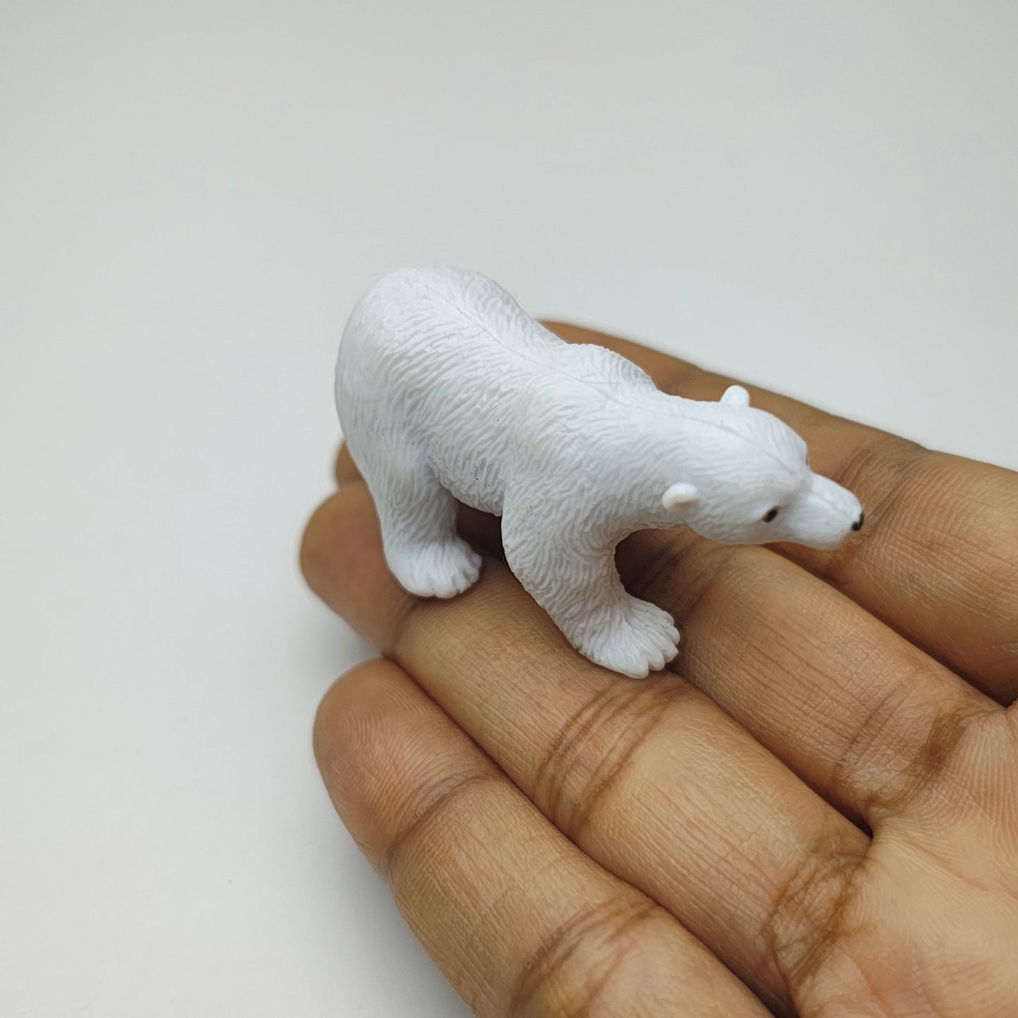 Polar_Bear_image_2