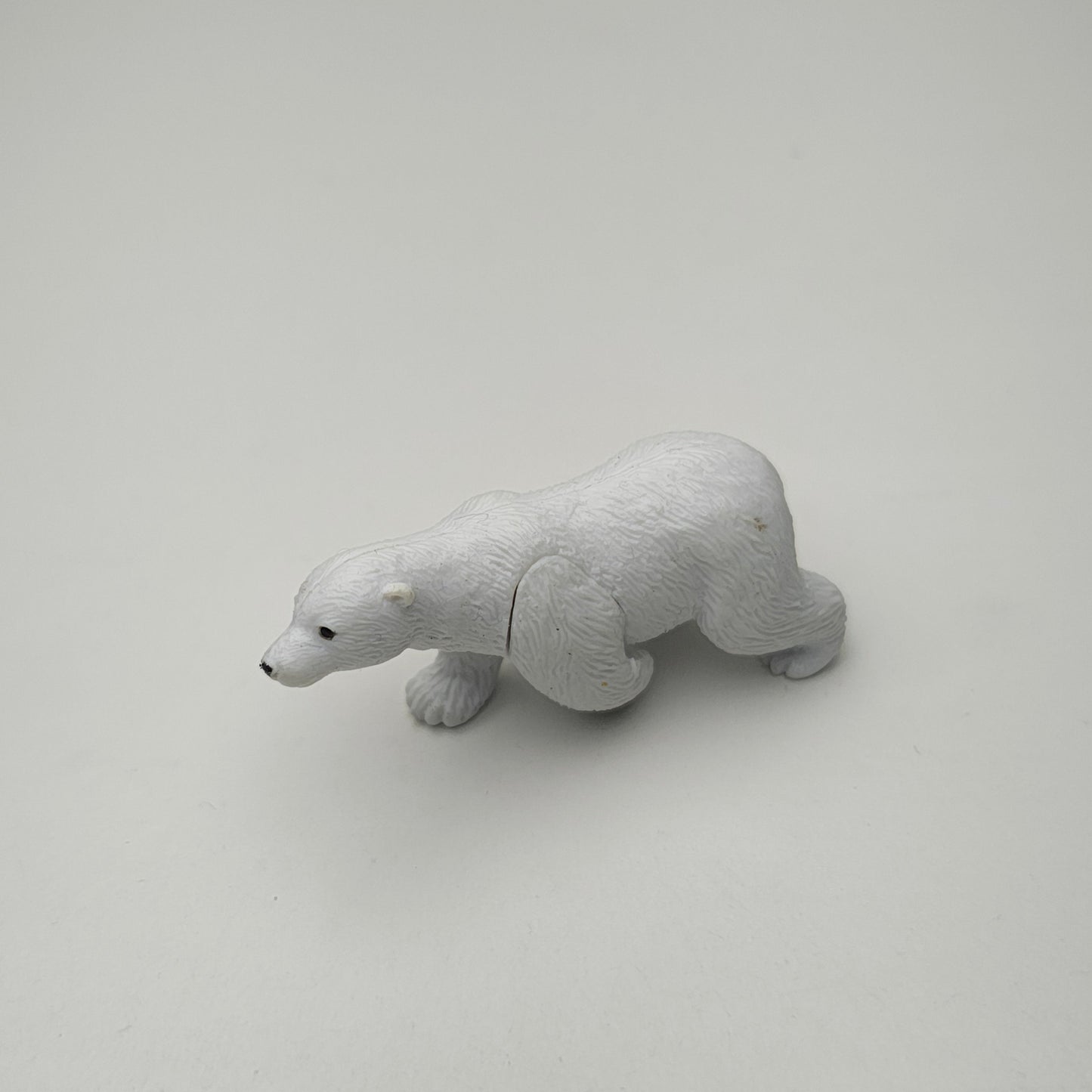 Polar_Bear_image_3