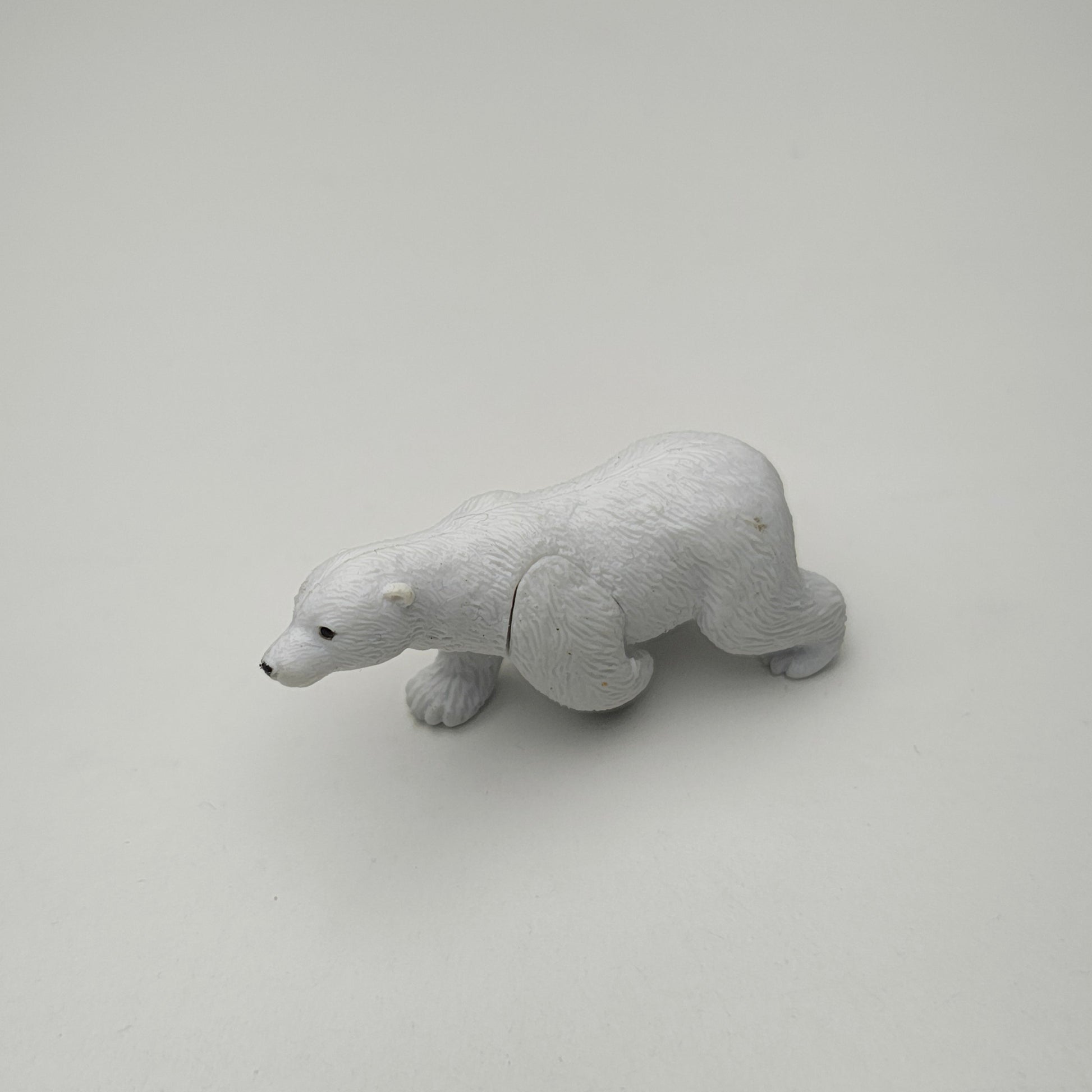 Polar_Bear_image_3