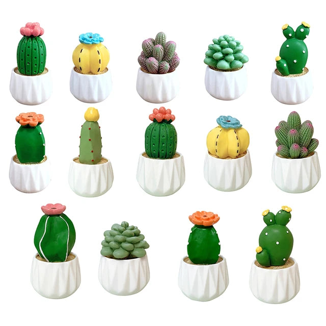 White cactus per piece