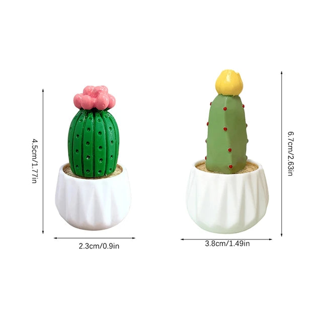 White cactus per piece