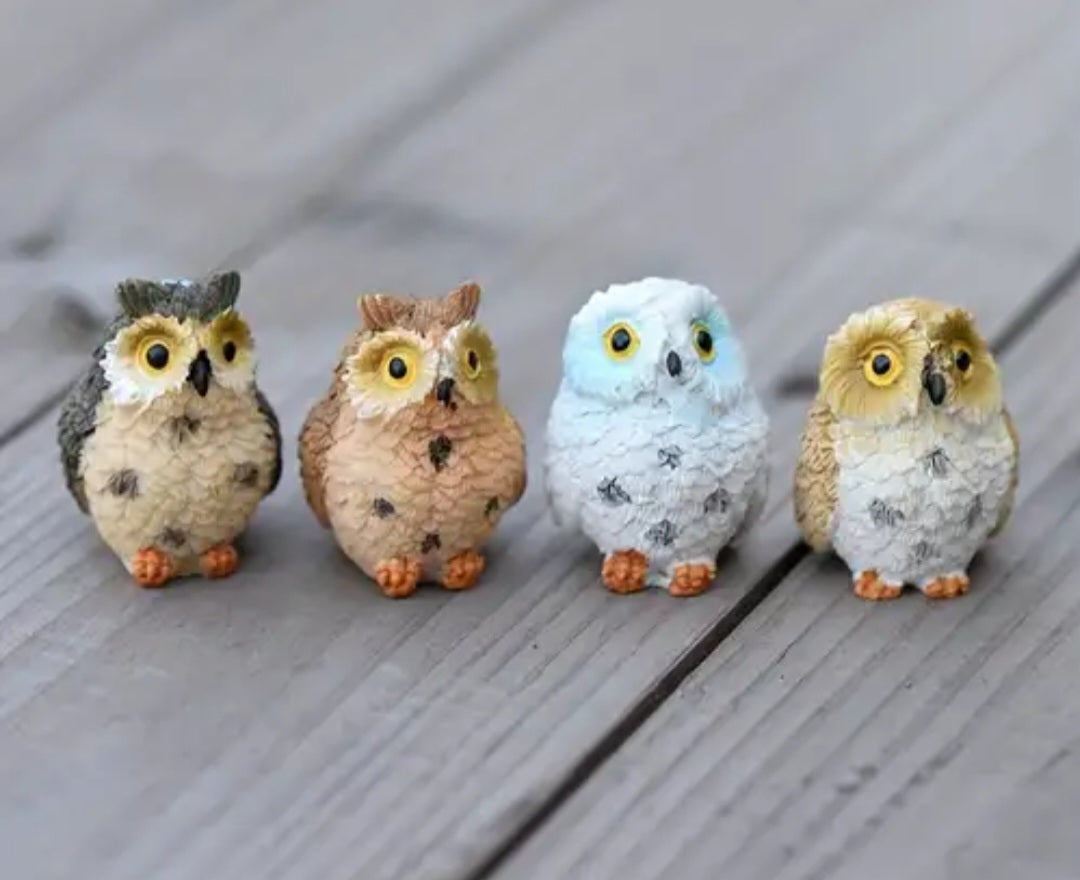 Owl per piece