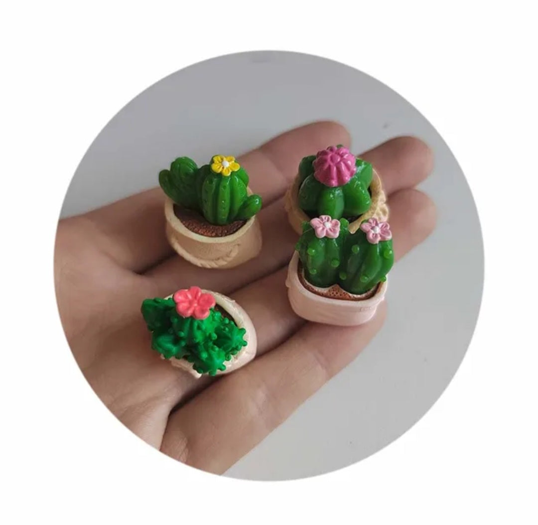 Cactus in bag per piece