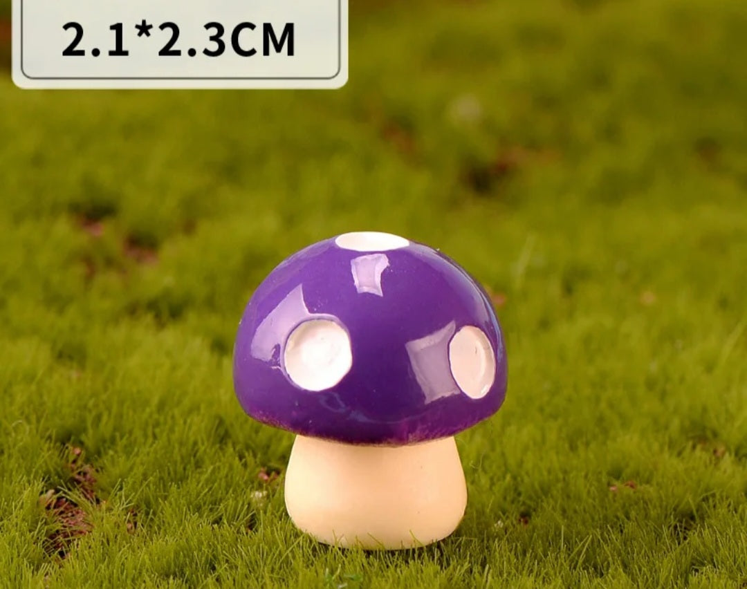 mushroom big