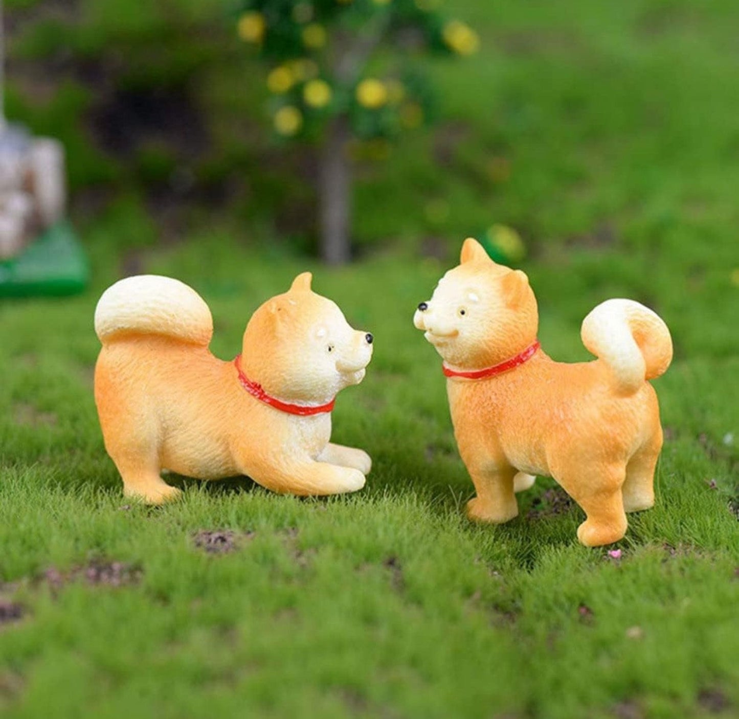 Shiba_Dog_image_1