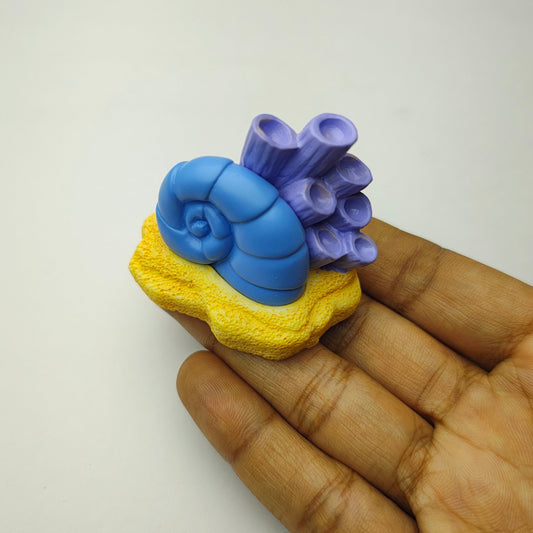 Snail_Coral_image_1