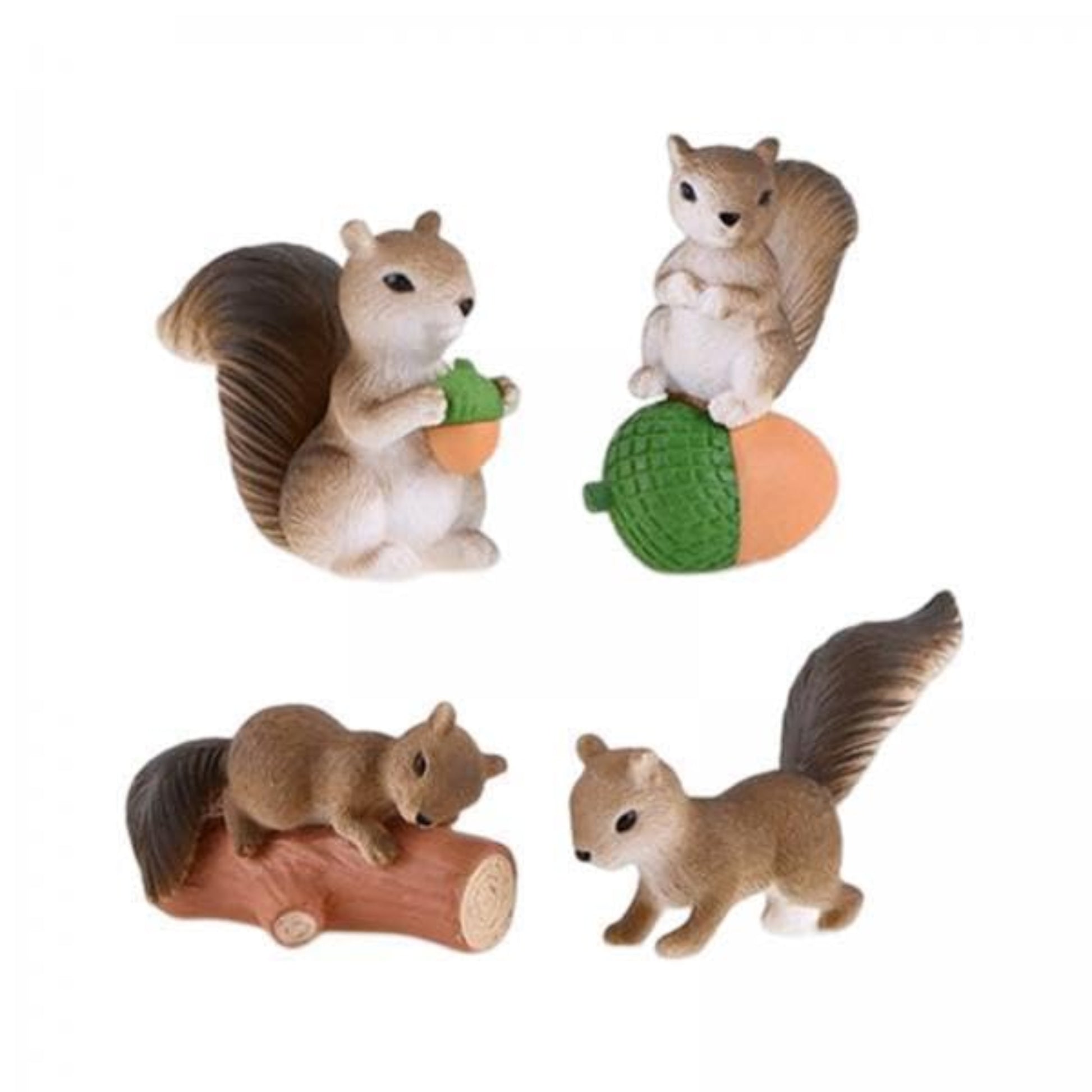 Squirrel_Family_image_2