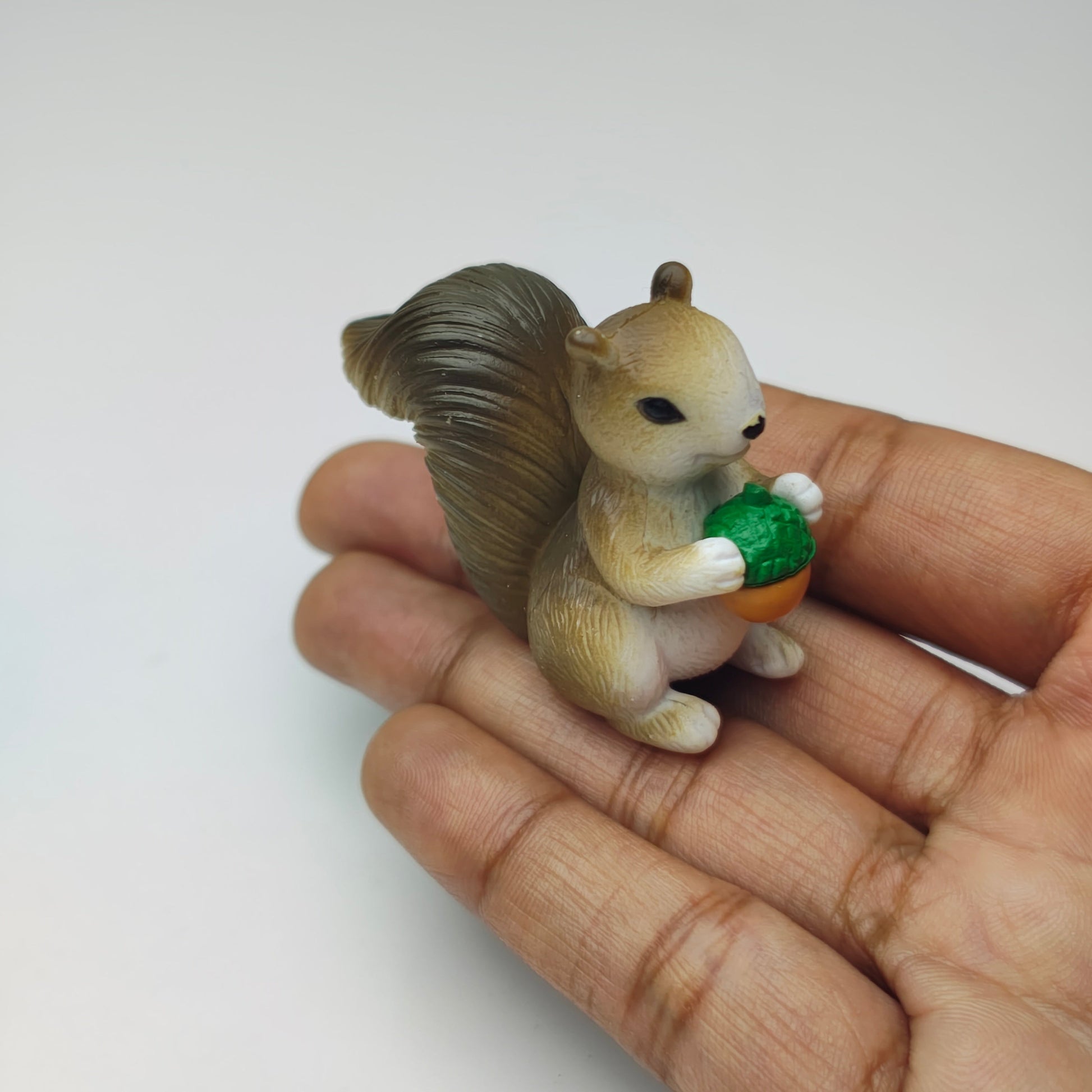 Squirrel_Family_image_6
