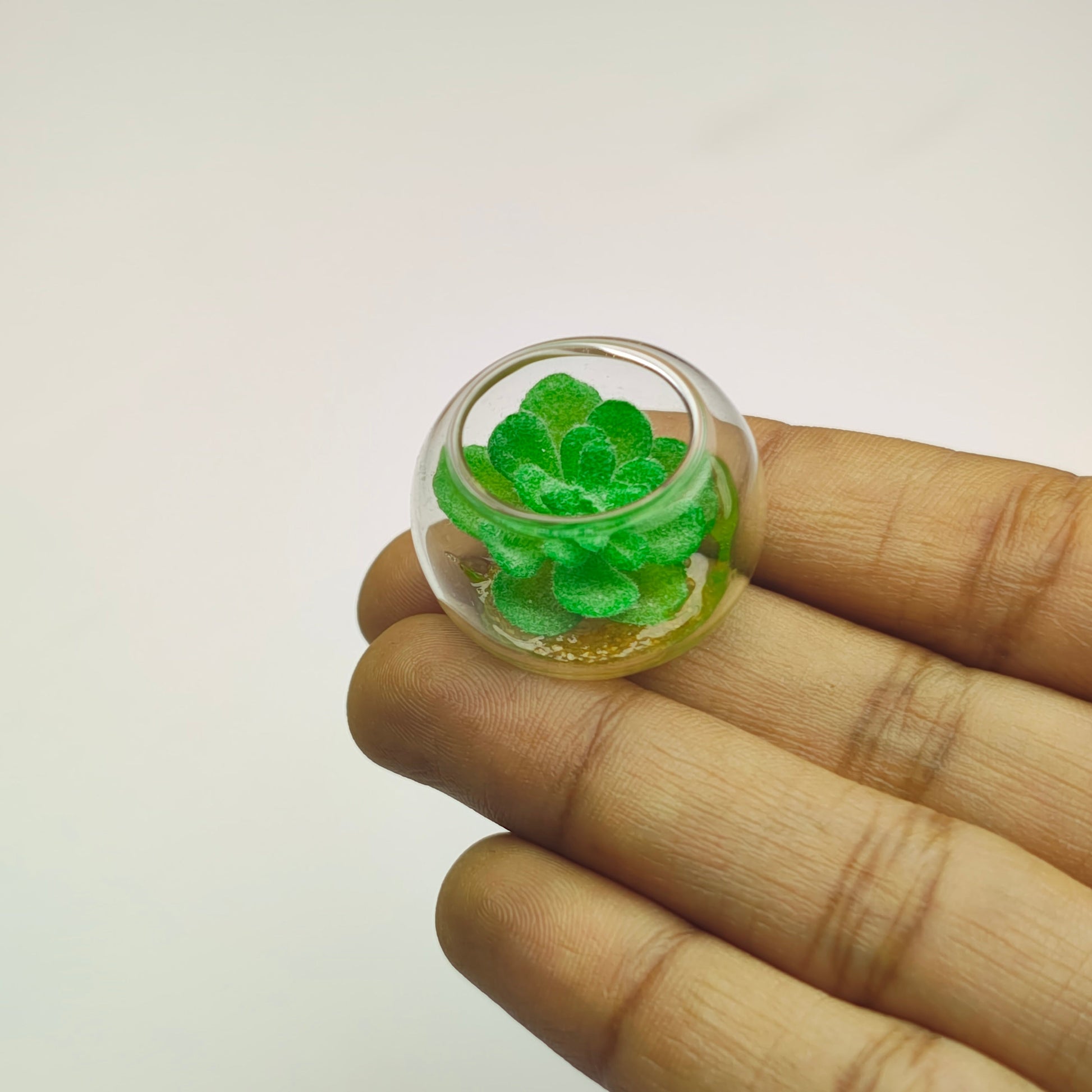 Succulent_Glass_Vase_image