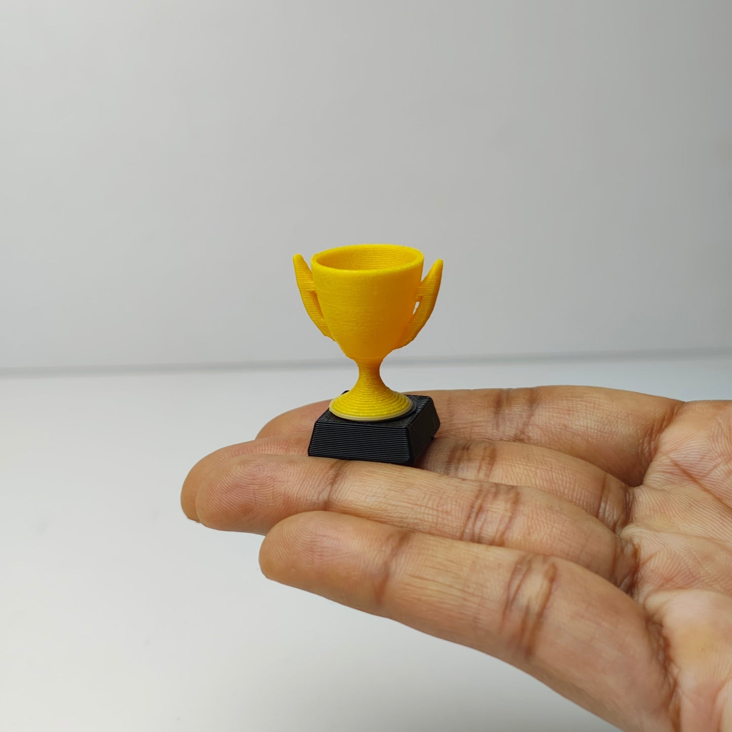Trophy_image_4