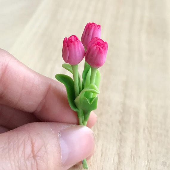 Pink Tulip flower