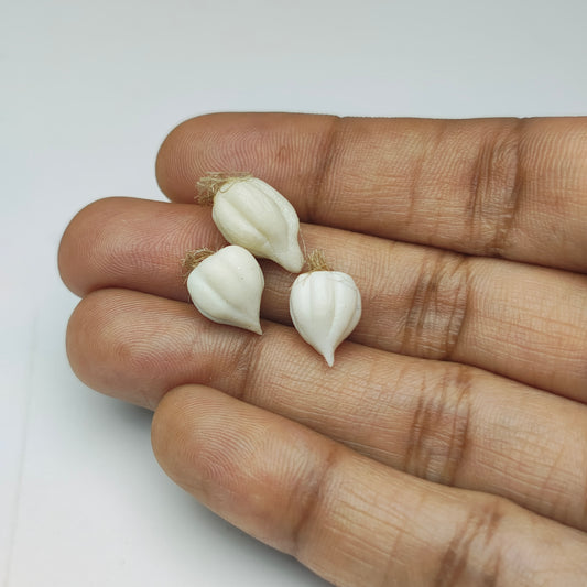 Miniature Garlic