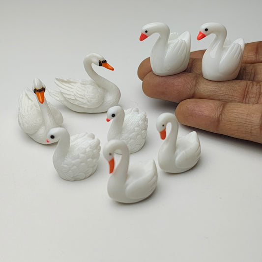 Swan