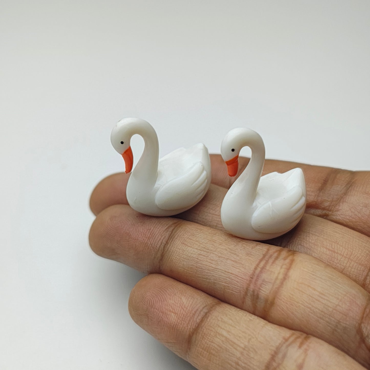 Swan