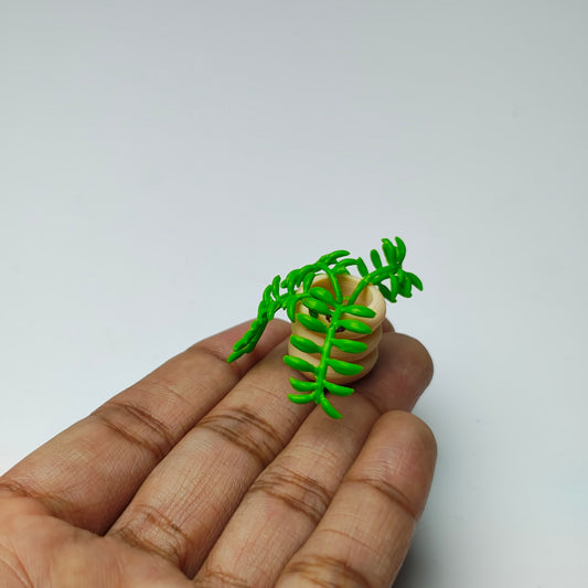 Miniature plant